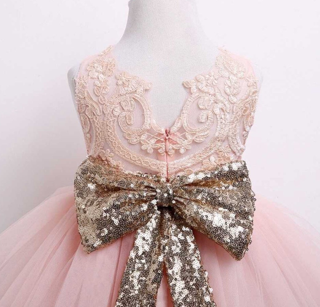 Baby Girls Pink Lace Bodice with Tutu Skirt Dress and a Gold Sequin Belt & Bow