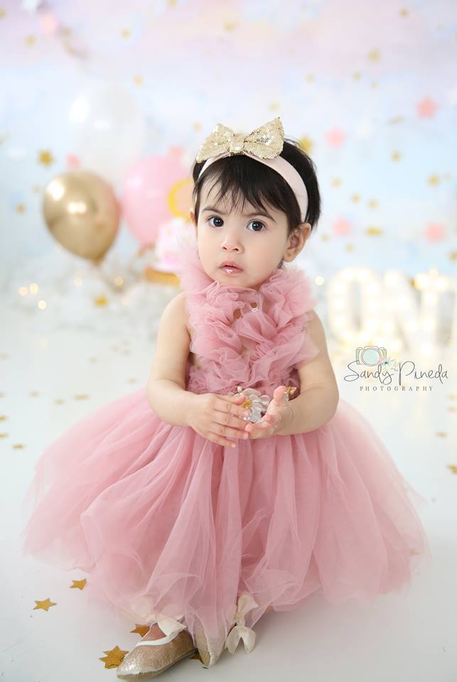 Kryssi Kouture Girls Ruffled Tulle Dusty Rose Swan Dress