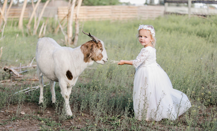 White - Sarah Lee 2 Pc  Long Sleeve Lace Top and Tulle Skirt Flower Girl Set