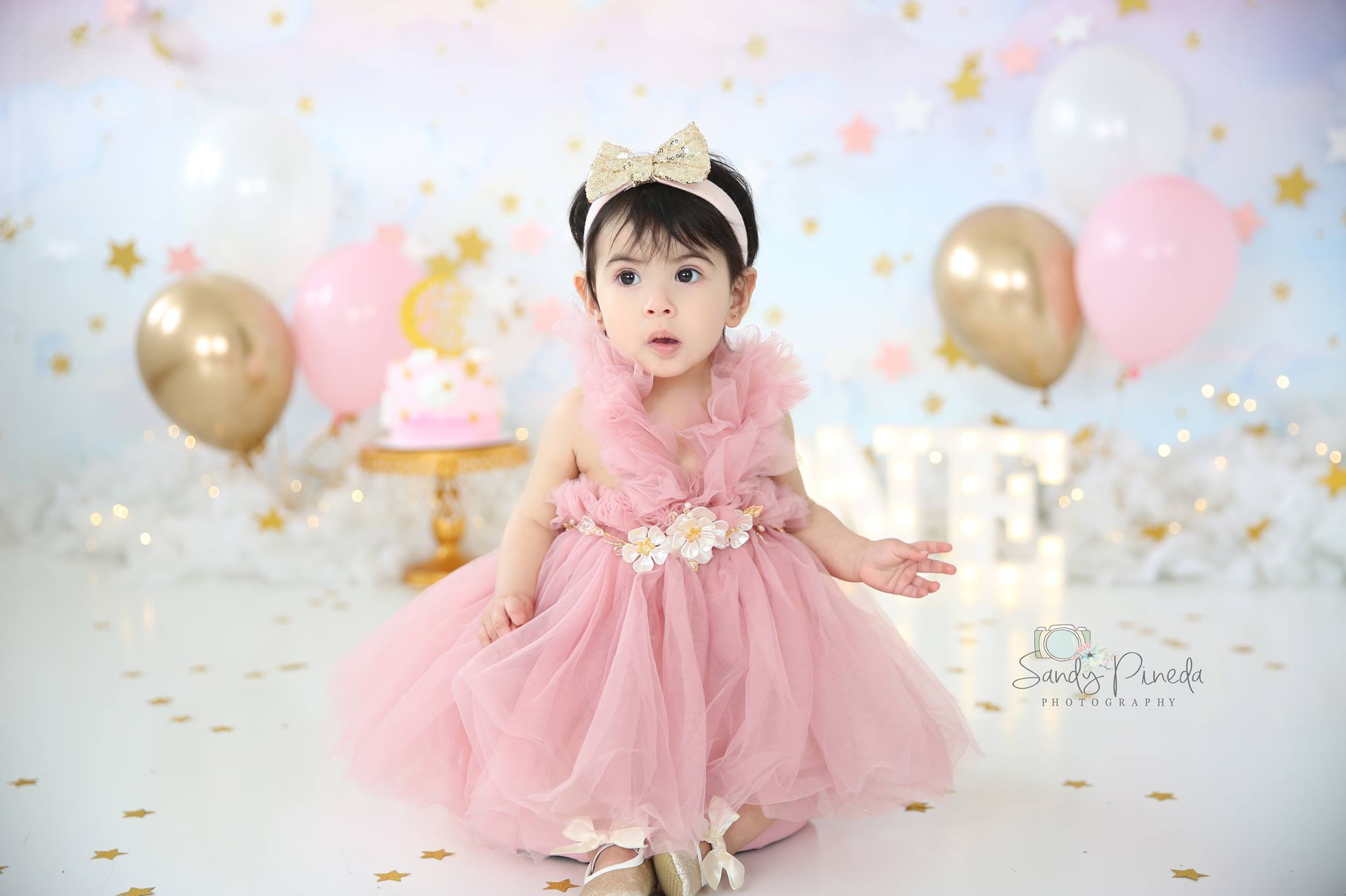 Kryssi Kouture Girls Ruffled Tulle Pink Swan Dress