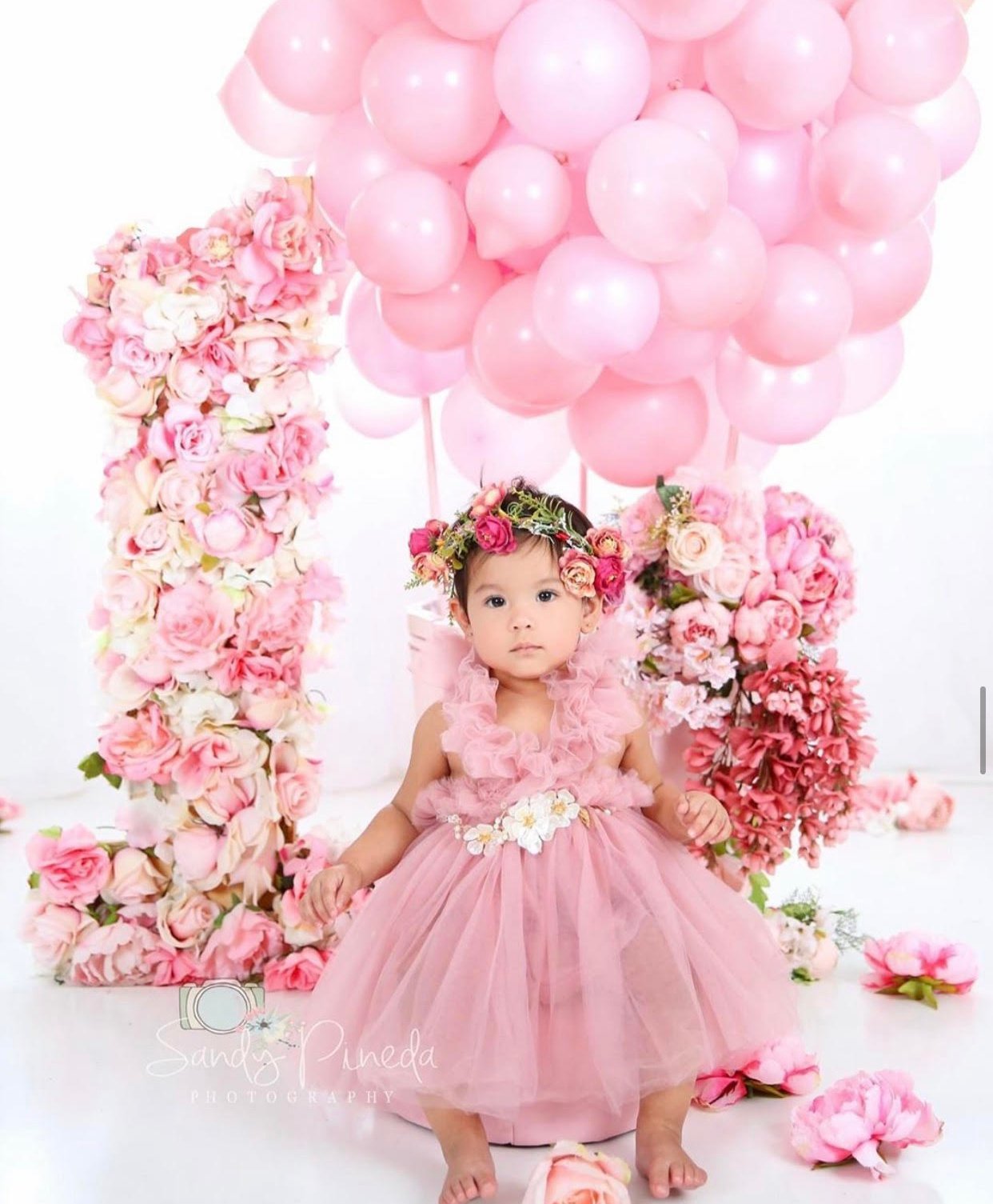 Kryssi Kouture First Birthday Princess Swan Dress Only $39.99