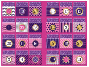 Disney Advent Book Calendars | 24 Days - Princess